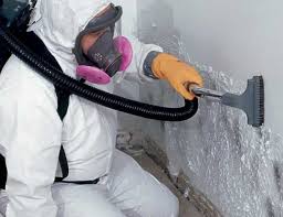 Mold Odor Removal Services in Stanford, CA